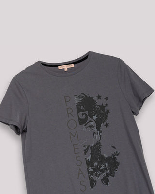 Camiseta Gris Ilustrada Promesas